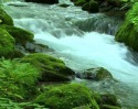 River Flow Android Mobile Phone Wallpaper