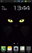 Black Cat Android Mobile Phone Wallpaper