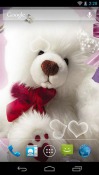 Teddy Bear HD Android Mobile Phone Wallpaper