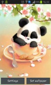 Sleepy Panda QMobile NOIR A10 Wallpaper