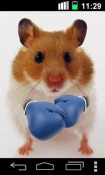 Funny Hamster: Cracked Screen Android Mobile Phone Wallpaper