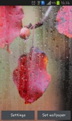 Rainy Autumn Android Mobile Phone Wallpaper