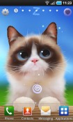 Shui Kitten Android Mobile Phone Wallpaper