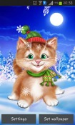 Winter Cat Android Mobile Phone Wallpaper