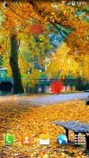 Autumn Landscape Android Mobile Phone Wallpaper