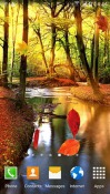 Autumn Forest Android Mobile Phone Wallpaper