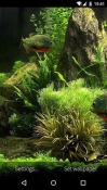 Fish Aquarium 3D Android Mobile Phone Wallpaper