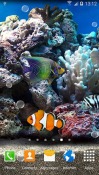 Coral Fish 3D Android Mobile Phone Wallpaper