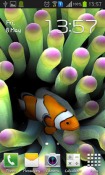 Sim Aquarium Android Mobile Phone Wallpaper