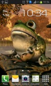 Frog 3D Android Mobile Phone Wallpaper