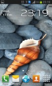 Seashell Android Mobile Phone Wallpaper