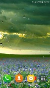 Spring Rain By Locos Apps Android Mobile Phone Wallpaper