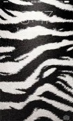 Zebra Android Mobile Phone Wallpaper
