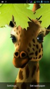 Giraffe HD Android Mobile Phone Wallpaper