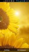 Golden Sunflower Android Mobile Phone Wallpaper