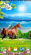 Horse QMobile NOIR A10 Wallpaper