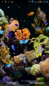 Aquarium Android Mobile Phone Wallpaper