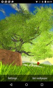 Nature Tree QMobile NOIR A10 Wallpaper