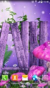 Magic Mushroom Android Mobile Phone Wallpaper