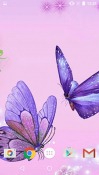 Butterfly QMobile NOIR A10 Wallpaper