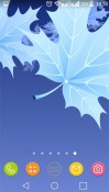 Maple Leaves Android Mobile Phone Wallpaper