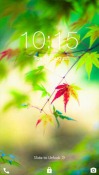 Fresh Leaves Android Mobile Phone Wallpaper
