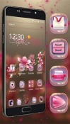 Transparent Sakura Android Mobile Phone Wallpaper