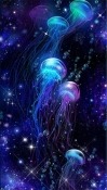 Luminous Jellyfish HD Android Mobile Phone Wallpaper
