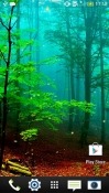 Forest Android Mobile Phone Wallpaper
