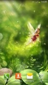 Fairy Android Mobile Phone Wallpaper