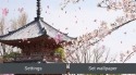Sakura Garden Android Mobile Phone Wallpaper