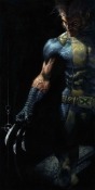 Wolverine Honor 8X Wallpaper
