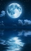 Moonlight  Mobile Phone Wallpaper