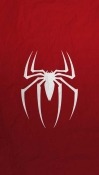 Spider  Mobile Phone Wallpaper