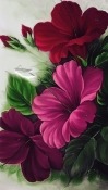 Flowers Meizu V8 Pro Wallpaper