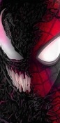 Venom vs Spiderman  Mobile Phone Wallpaper