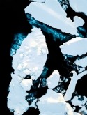 Iceberg Lava Iris 401e Wallpaper