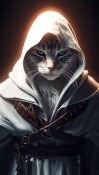 Assassin Cat Huawei Mate 50E Wallpaper