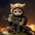 Kitten Infinix Hot S Wallpaper