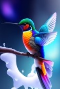 Hummingbird  Mobile Phone Wallpaper