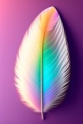 Feather  Mobile Phone Wallpaper
