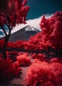 Volcano Garden  Mobile Phone Wallpaper
