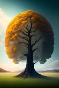 Tree Of Life Huawei nova 5i Pro Wallpaper