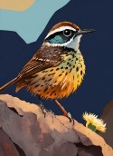 Cute Bird  Mobile Phone Wallpaper