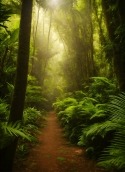 Tropical Forest Lenovo A7000 Turbo Wallpaper