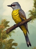 King Bird Gionee Ctrl V3 Wallpaper
