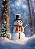 Snowman Oppo Find X2 Pro Wallpaper
