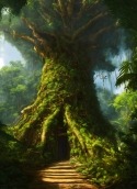 Giant Green Tree HTC Explorer Wallpaper