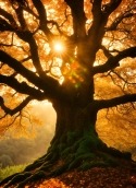 Giant Tree Cubot Note 21 Wallpaper