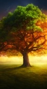 Magical Tree Vivo S6 5G Wallpaper